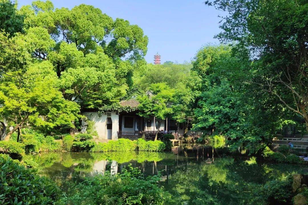 约惠时光 | 不是每个人都“惠”浪漫，但是它“惠”