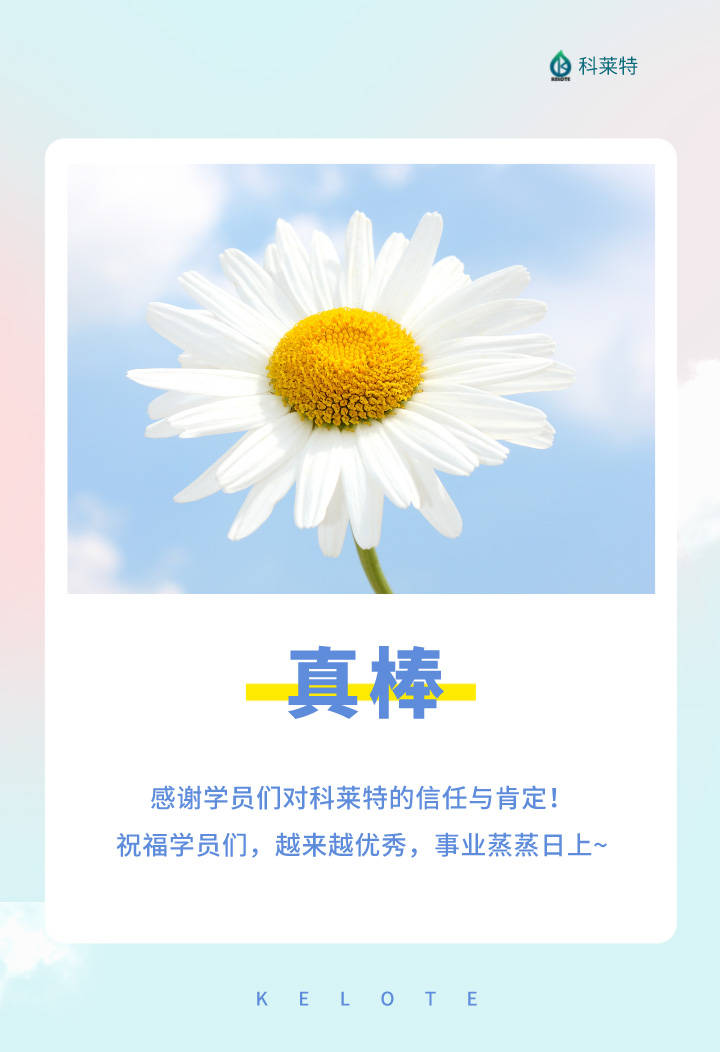 感谢遇到你-科莱特