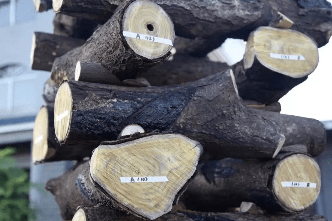 周末一起来“漆”淘吧!