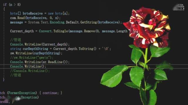 周末一起来“漆”淘吧!