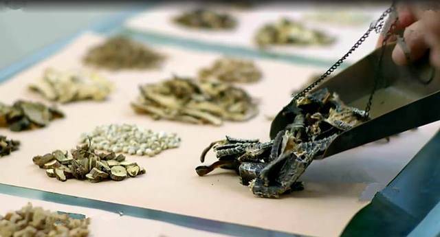 捕蛇有绝技 吃蛇有绝活 天生不怕蛇的奇人