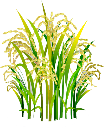 【媒体看江西】新华每日电讯报道:农村“双抢”没那么“抢”了