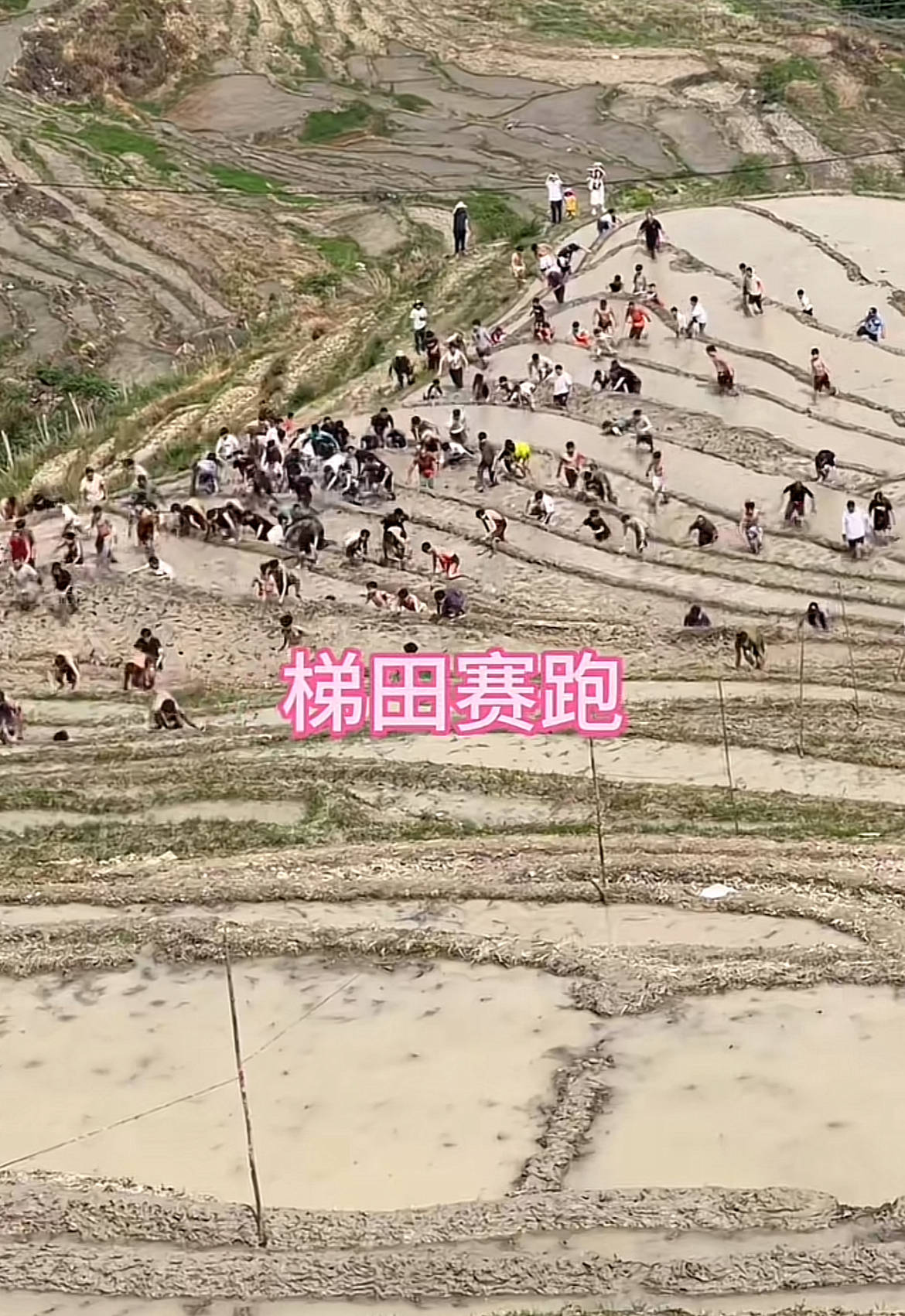 桂林一景区回应爬梯田比赛前两名半坡起跑作弊:游客赛前试爬后躺半坡,工作人员没发现