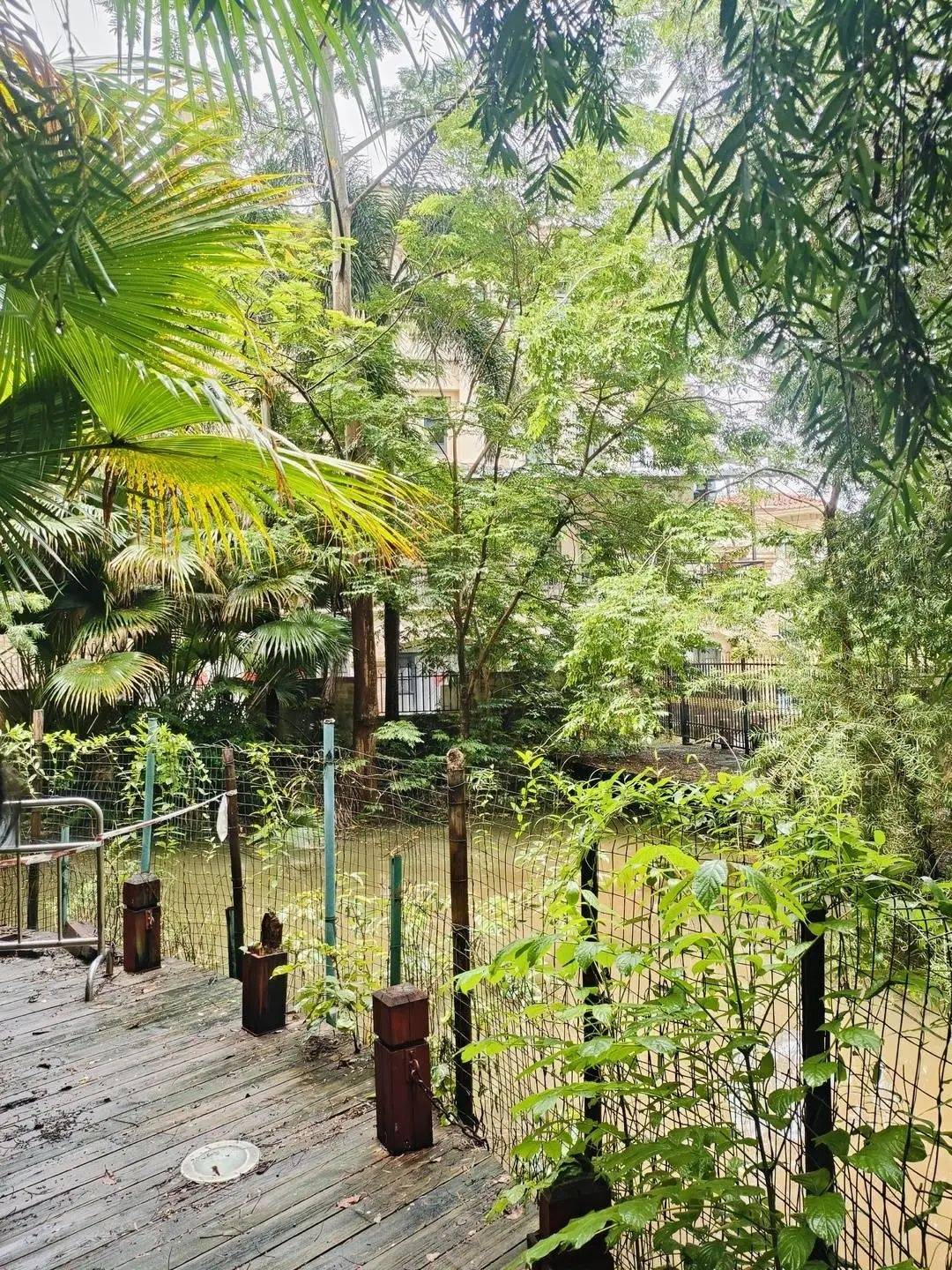 黄杨钿甜父母回应网络争议:“天价耳环”实际100多元,别墅不是自家的,只是路过拍照