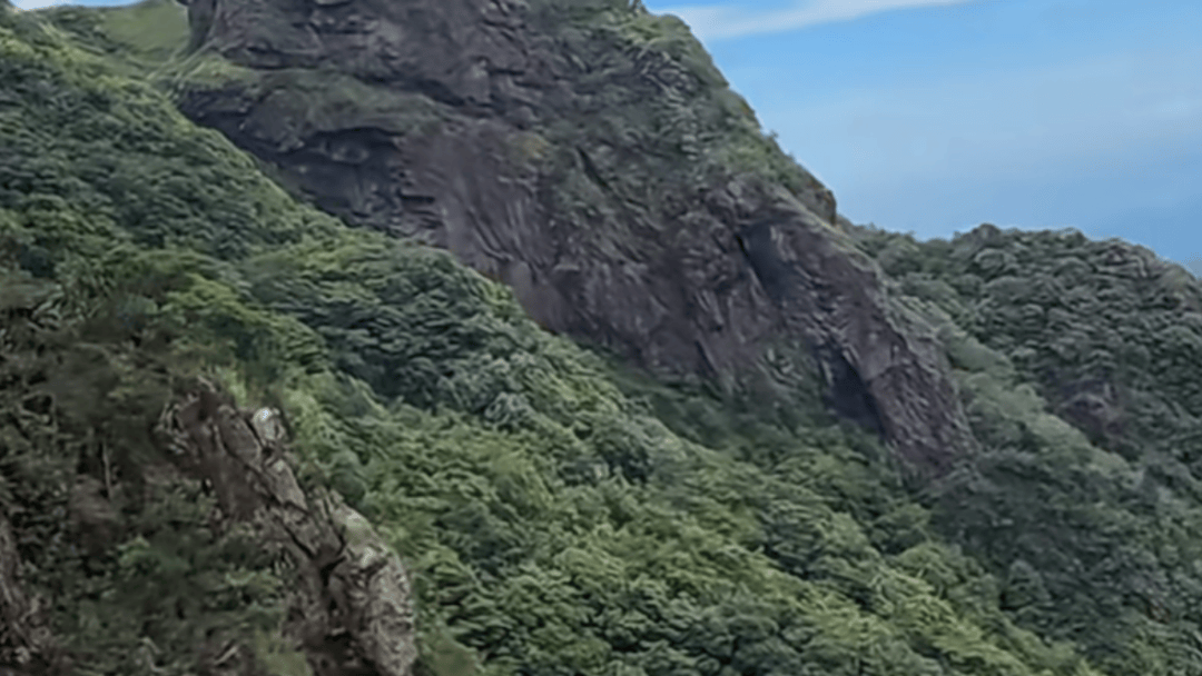 失联5天,遗体被找到!深圳警方初步排除刑事案件