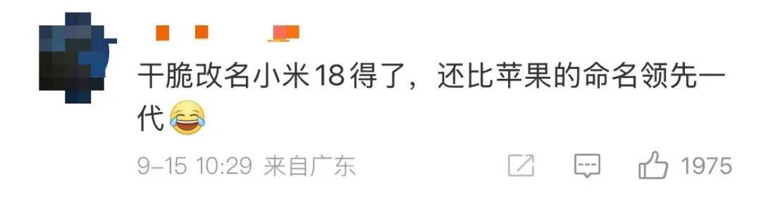 雷军：全面对标iPhone，正面迎战！小米宣布跳过16系列，直接发布17
