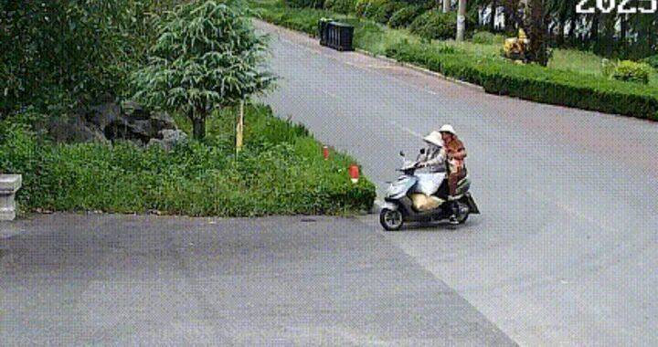 400斤,两人多次偷猕猴桃自己吃,被济南警方抓获