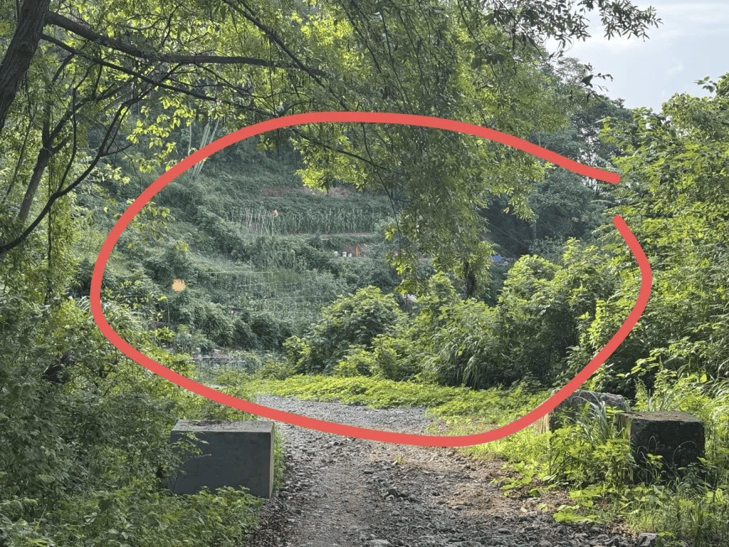 杭州女子误踩“化骨水”身亡,当地:已锁定化学品所有者,发现三桶,一桶完整,两桶残余