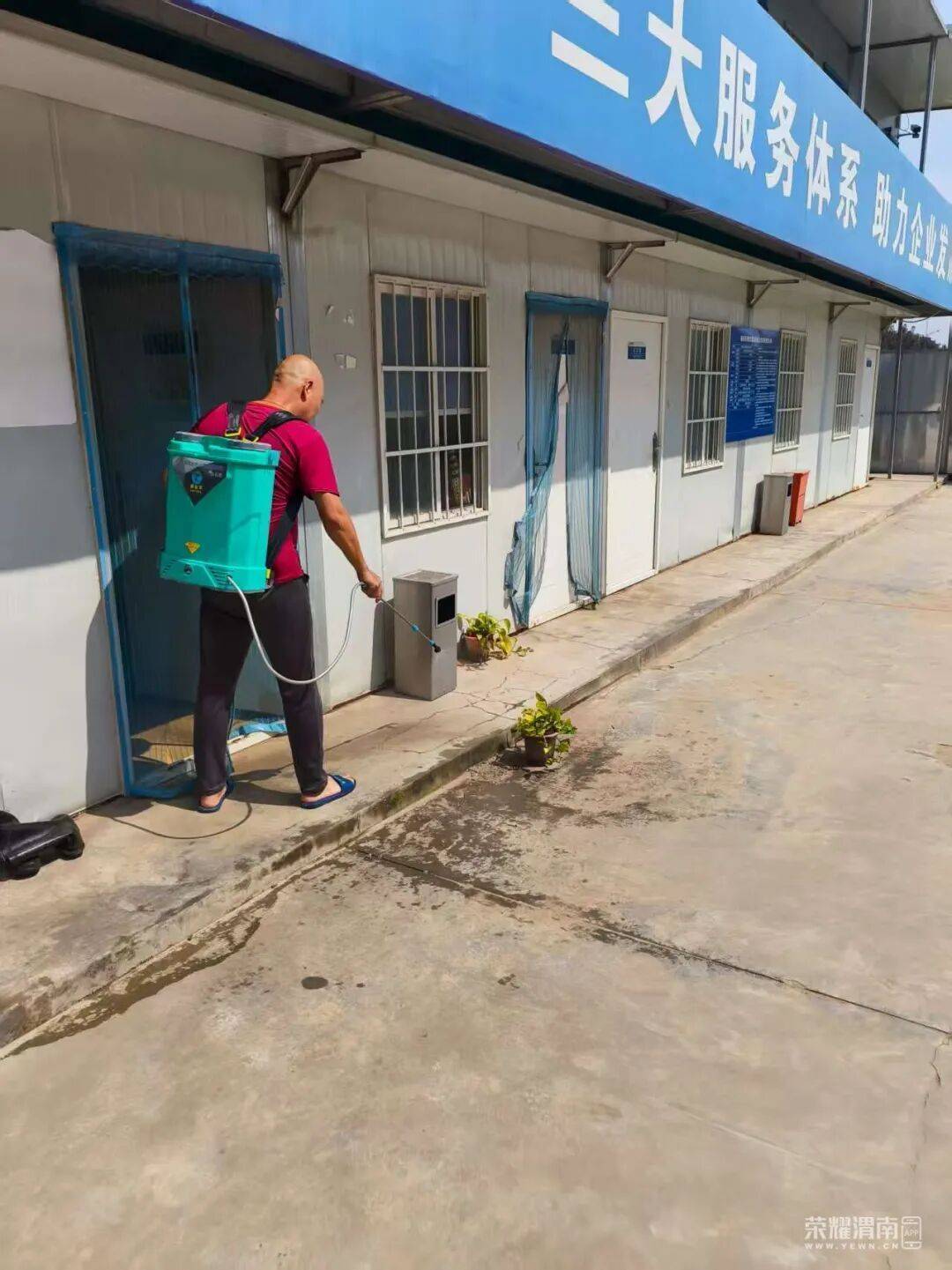 西安多区发现隐翅虫?千万别拍!毒液堪比硫酸