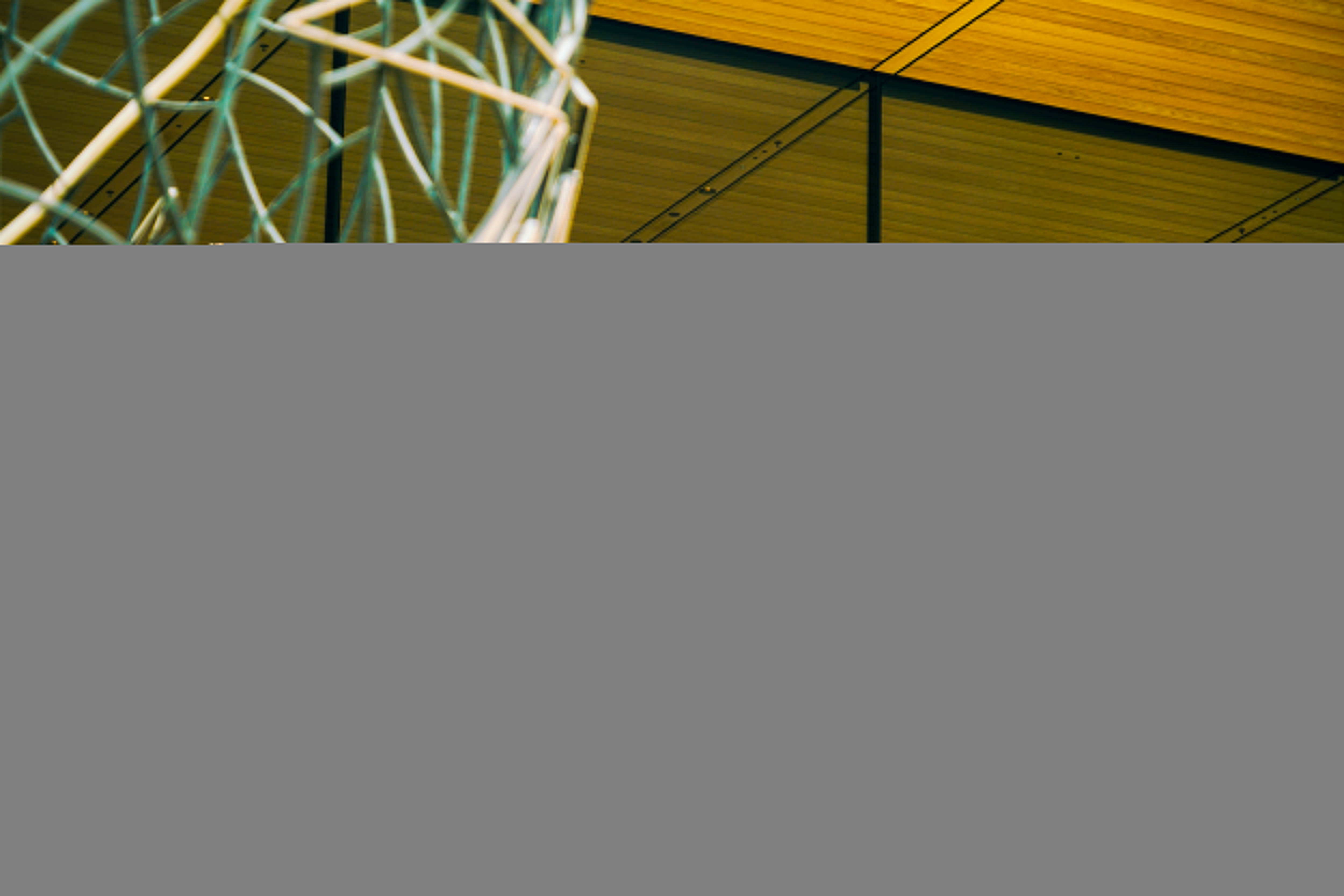 iPhone 17正式开售,橙色Pro Max黄牛最高加价1500元