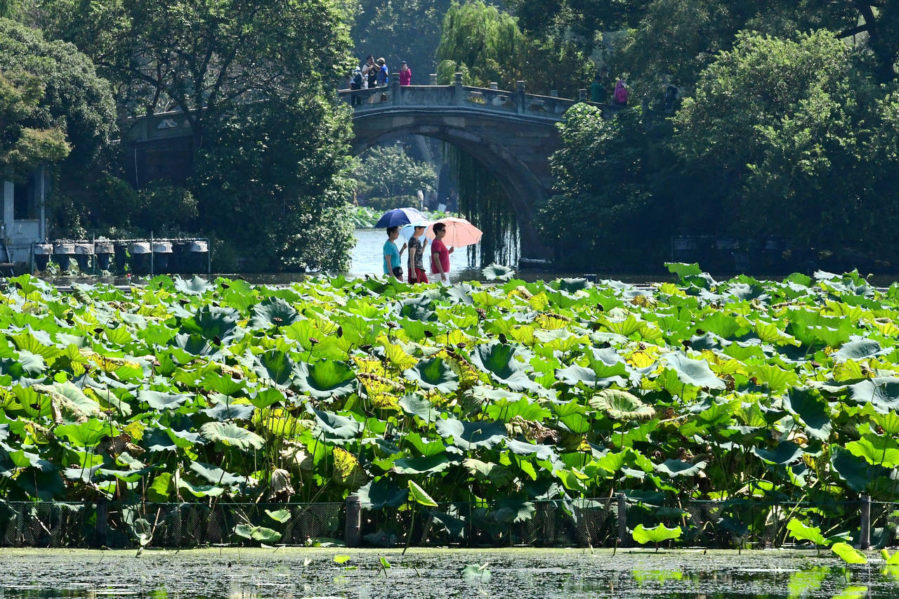 “三台共舞”对浙江有何影响?周末又有冷空气,气温舒适