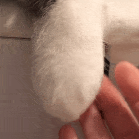 1227个城镇老旧小区,全部开工!