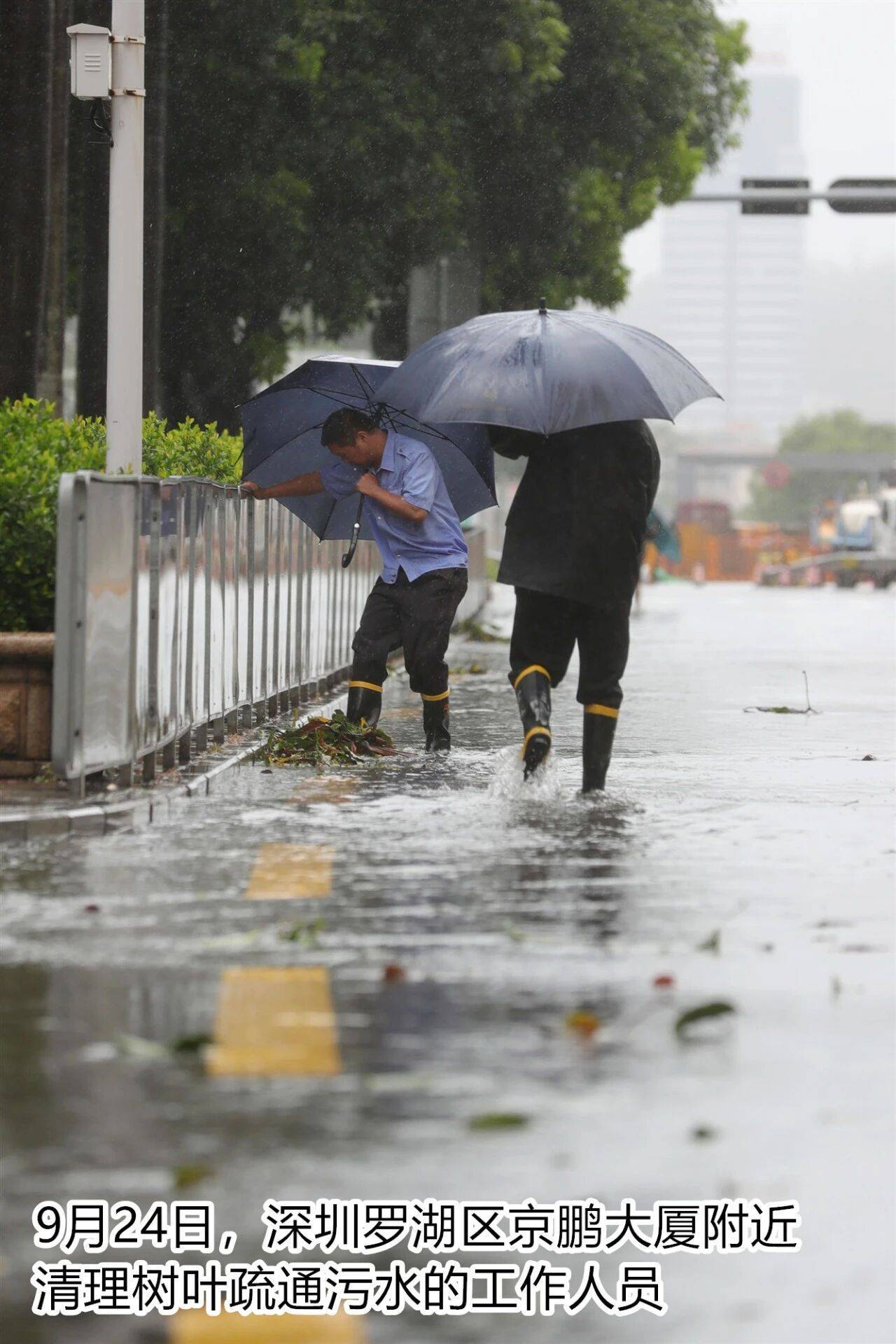 台风夜，深圳有人溺水！紧急！“桦加沙”过境，这些画面泪目