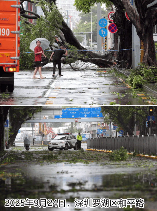台风夜，深圳有人溺水！紧急！“桦加沙”过境，这些画面泪目