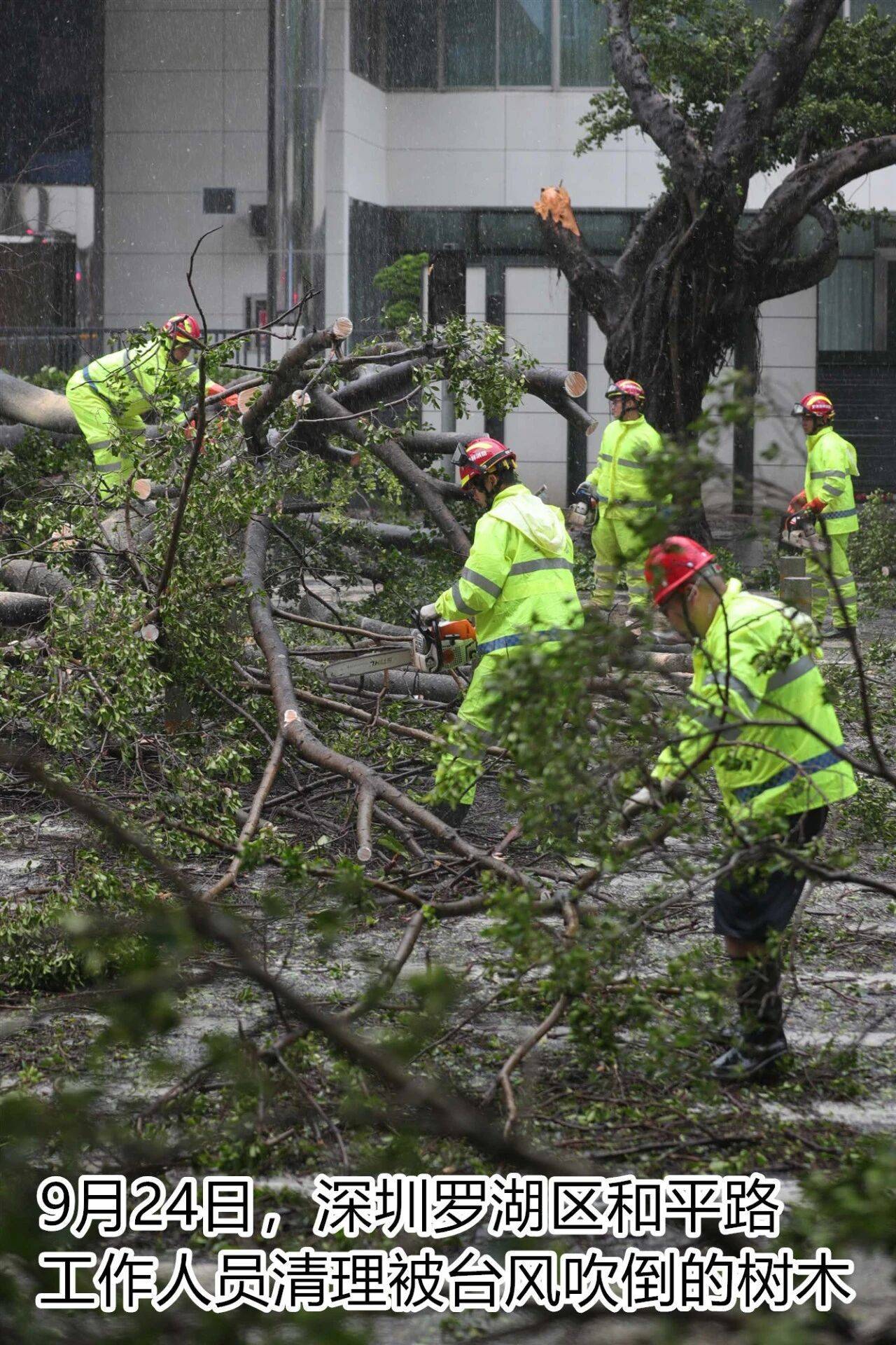 台风夜，深圳有人溺水！紧急！“桦加沙”过境，这些画面泪目
