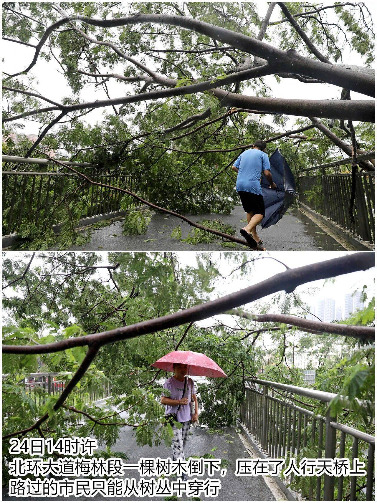 台风夜，深圳有人溺水！紧急！“桦加沙”过境，这些画面泪目