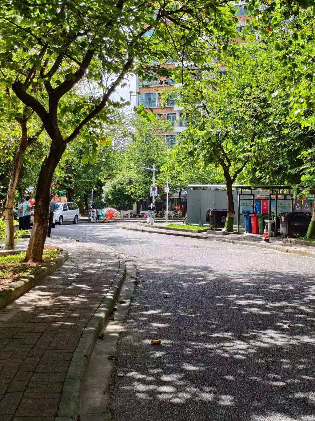 华南理工校园车祸引深思:校园限速多少,如何惩戒违章