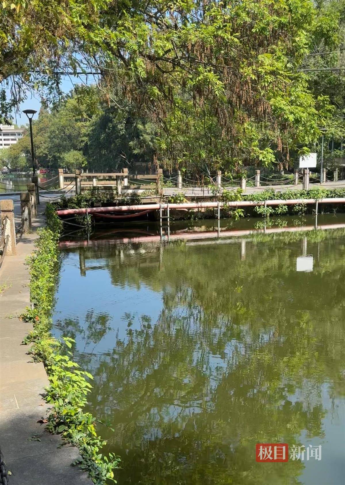 对话鸡排哥李俊永:爆火后每天一二十个镜头对着我,未来不考虑直播带货,更愿意和顾客待在一起