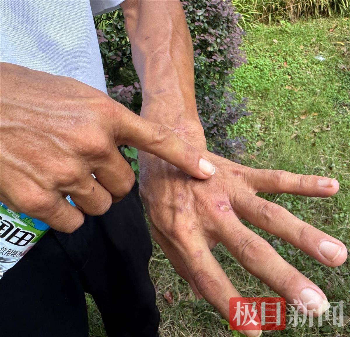 “鸡排哥”赚得盆满钵满购置多套房产?当事人幽默回应:还没到一个亿,你多来,我才能多卖2份