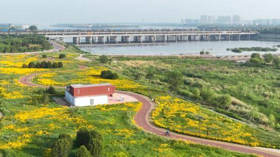 追光丨走出家门 来探探身边的环城绿道!