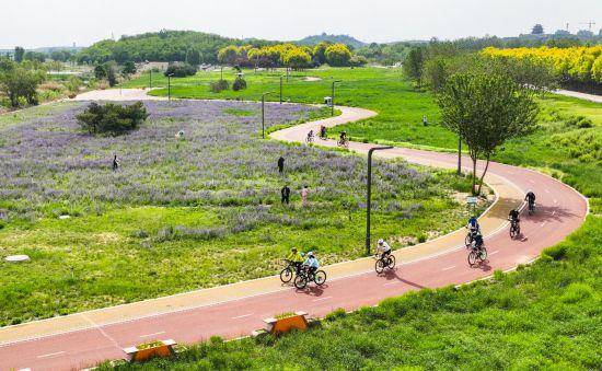 追光丨走出家门 来探探身边的环城绿道!