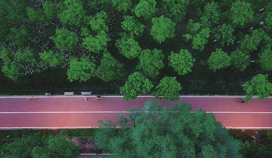 追光丨走出家门 来探探身边的环城绿道!