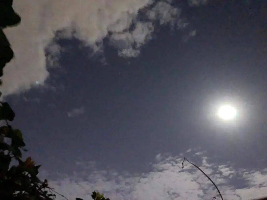 没有什么能阻挡!今天,广西人就是要回家!