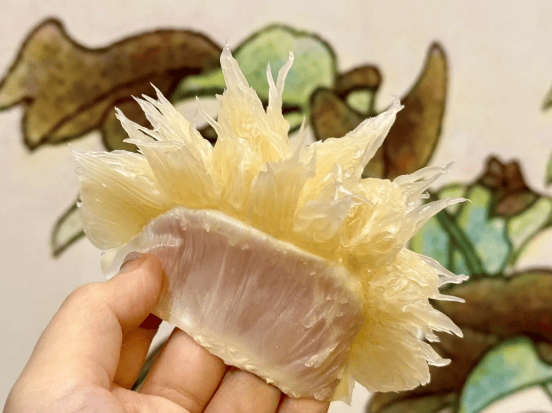 没有什么能阻挡!今天,广西人就是要回家!