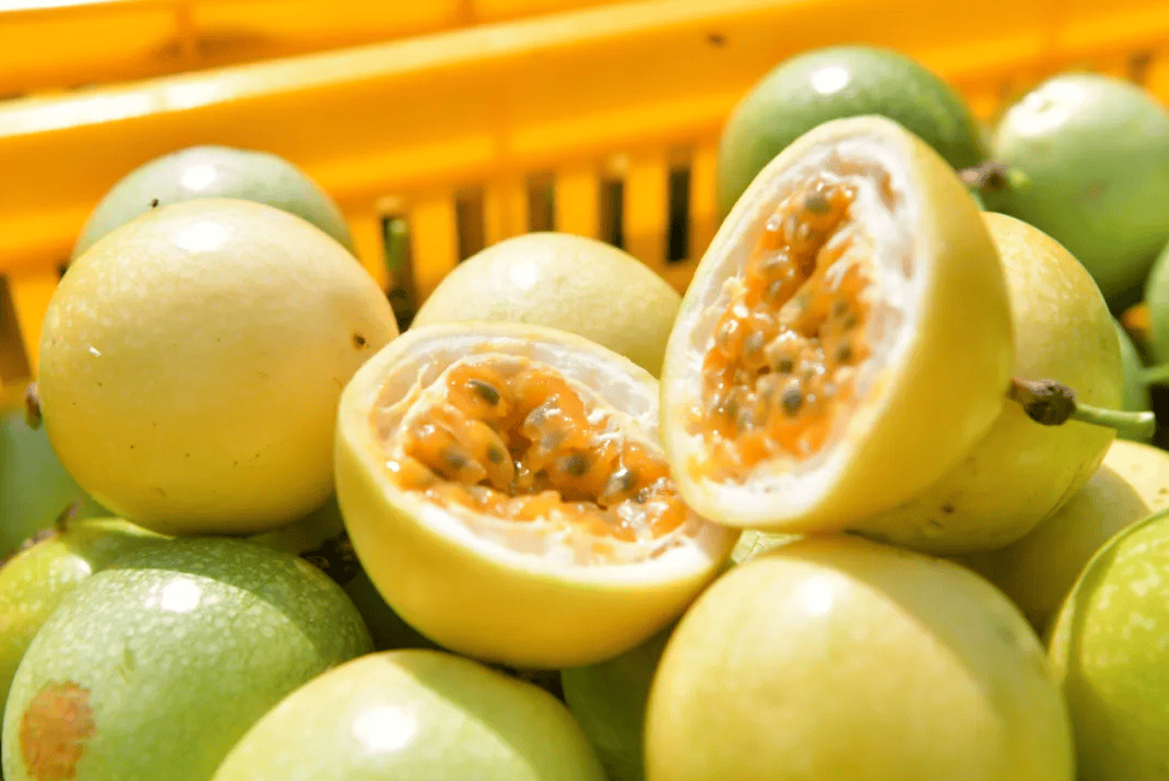 没有什么能阻挡!今天,广西人就是要回家!