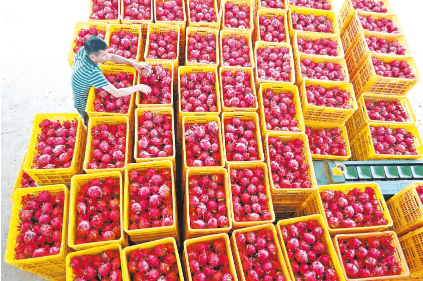 没有什么能阻挡!今天,广西人就是要回家!