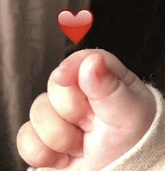 热热热,未来几天最高气温将达35℃!