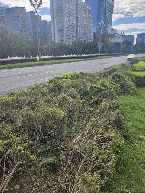 小米汽车失控起火司机遇难,目击者称车速150km/h,实探事故地:燃烧留下的印记仍在