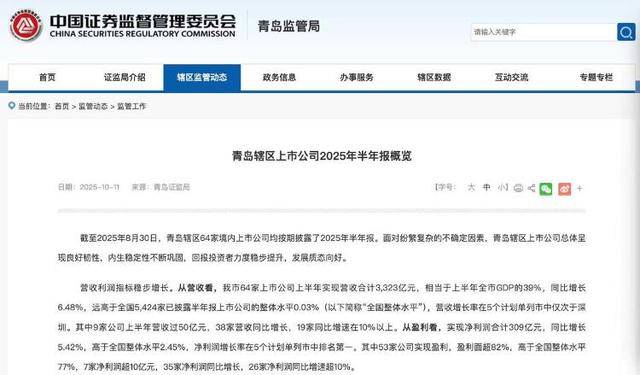 3323亿营收、1065亿海外收入!青岛上市公司的进击之路