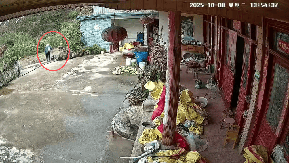 93岁老人进山失联,两天后发现他倒挂在树杈上苦撑……