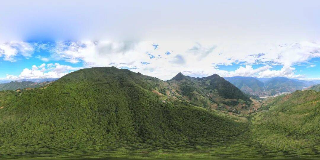 93岁老人进山失联,两天后发现他倒挂在树杈上苦撑……