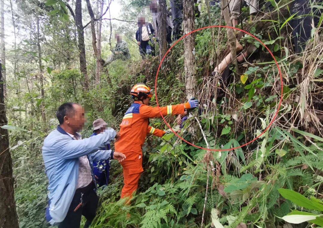 93岁老人进山失联,两天后发现他倒挂在树杈上苦撑……