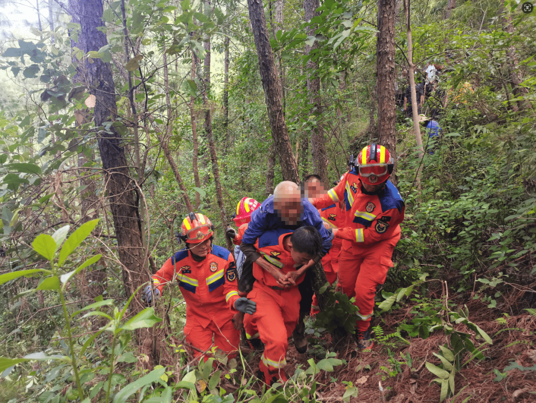 93岁老人进山失联,两天后发现他倒挂在树杈上苦撑……
