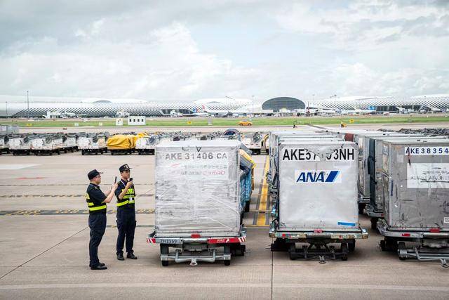 77.1万吨！深圳机场口岸货运吞吐量创历史新高