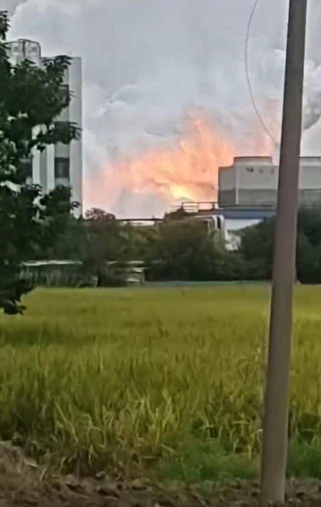 澄星股份工厂发生火灾?附近酒店:已灭火,有刺激性气味,建议不开窗