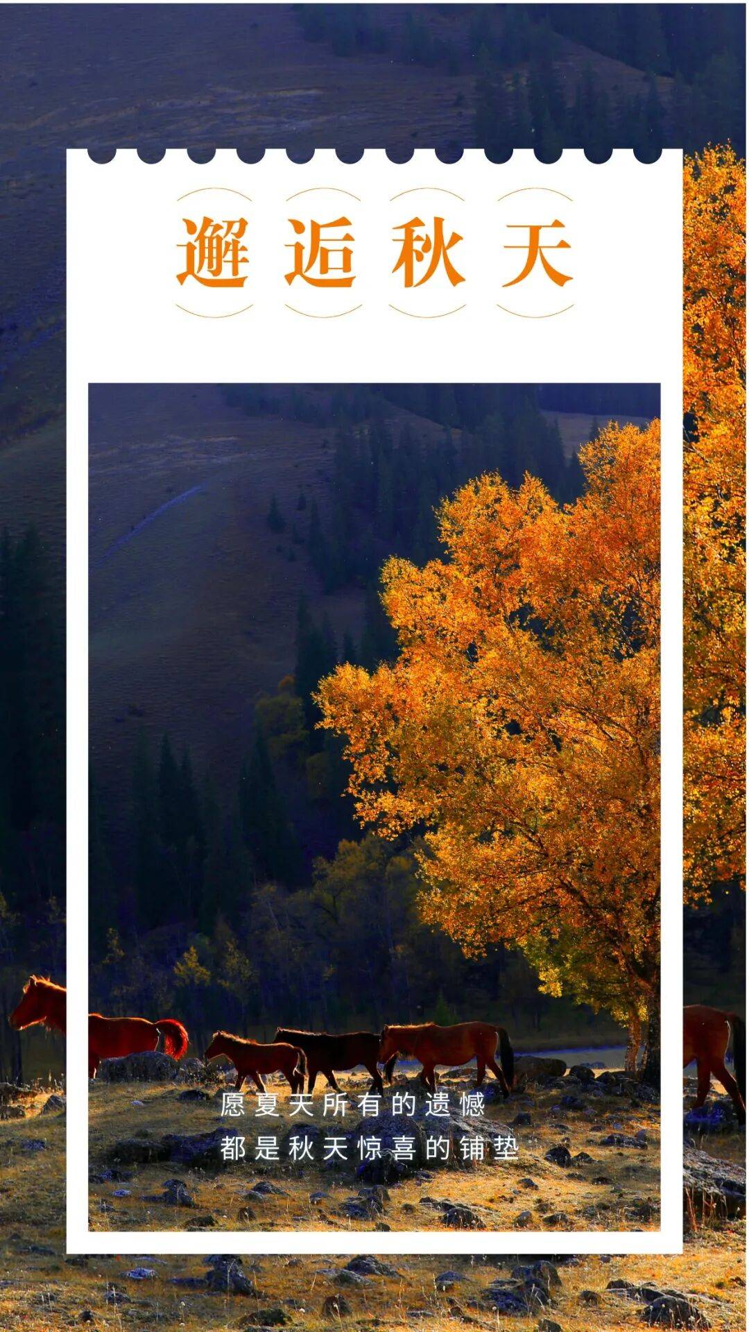 邂逅博州的秋天,从从容容游刃有余