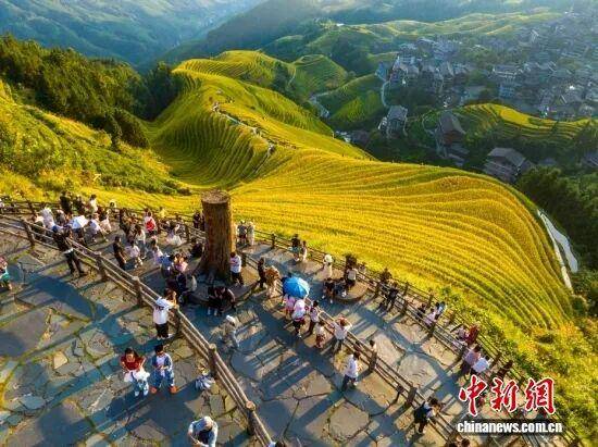 金秋,广西的梯田一点不输!