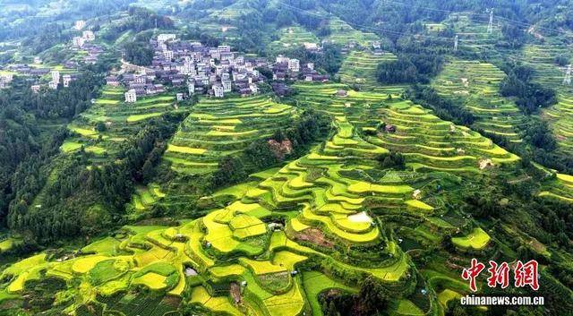 金秋,广西的梯田一点不输!