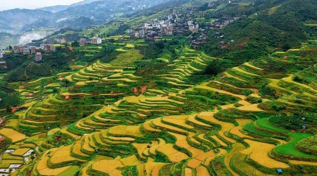 金秋,广西的梯田一点不输!