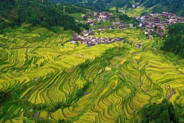 金秋,广西的梯田一点不输!