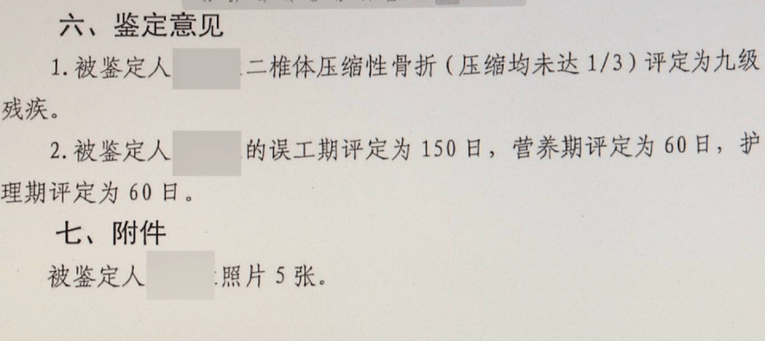 大型犬未拴绳惊倒路人,饲养人赔了28万元