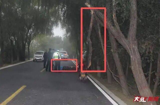 陕西兴平56岁女教师骑电动车“撞树枝”身亡,交警判定担主责,家属提出诸多质疑,多方回应