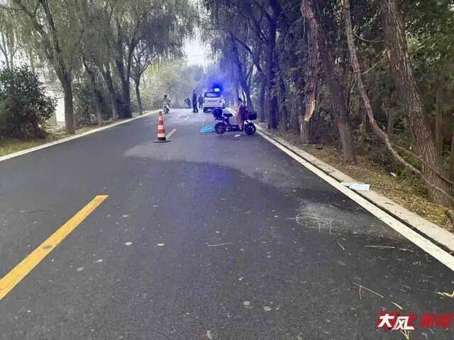 陕西兴平56岁女教师骑电动车“撞树枝”身亡,交警判定担主责,家属提出诸多质疑,多方回应