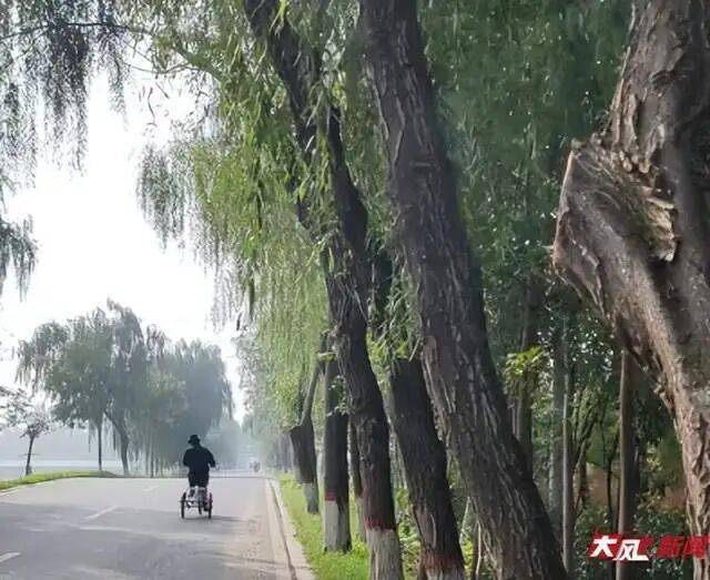 陕西兴平56岁女教师骑电动车“撞树枝”身亡,交警判定担主责,家属提出诸多质疑,多方回应