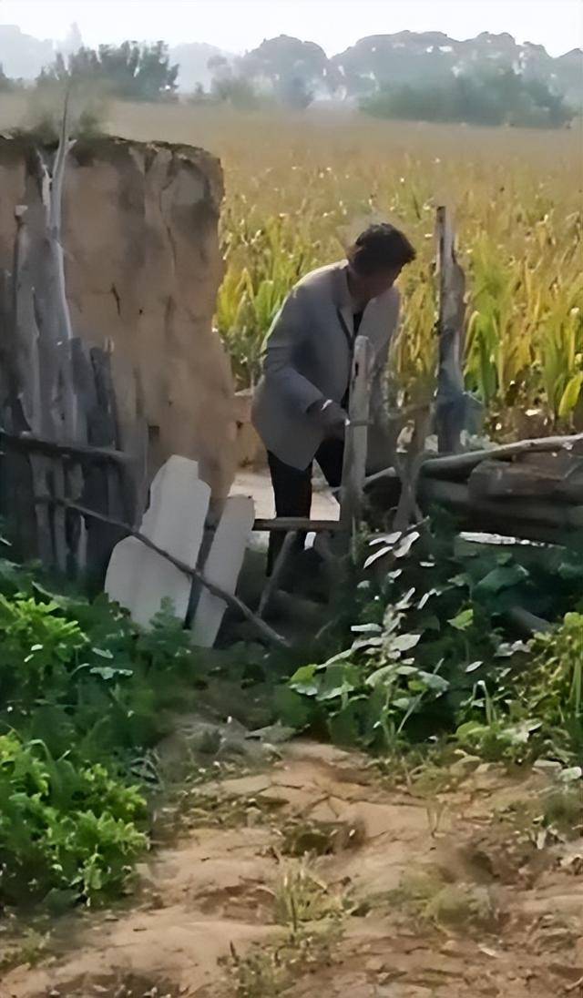 陕西一女子疑因拍亲姑姑偷玉米遭姑父棍杀,邻居欲报警也遇害