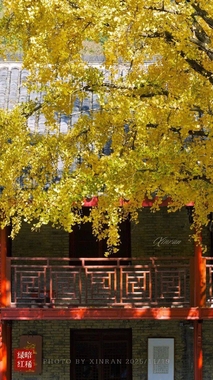 未来三天全省晴,气温缓慢回升。明晨淮河以南部分地区有雾或浓雾